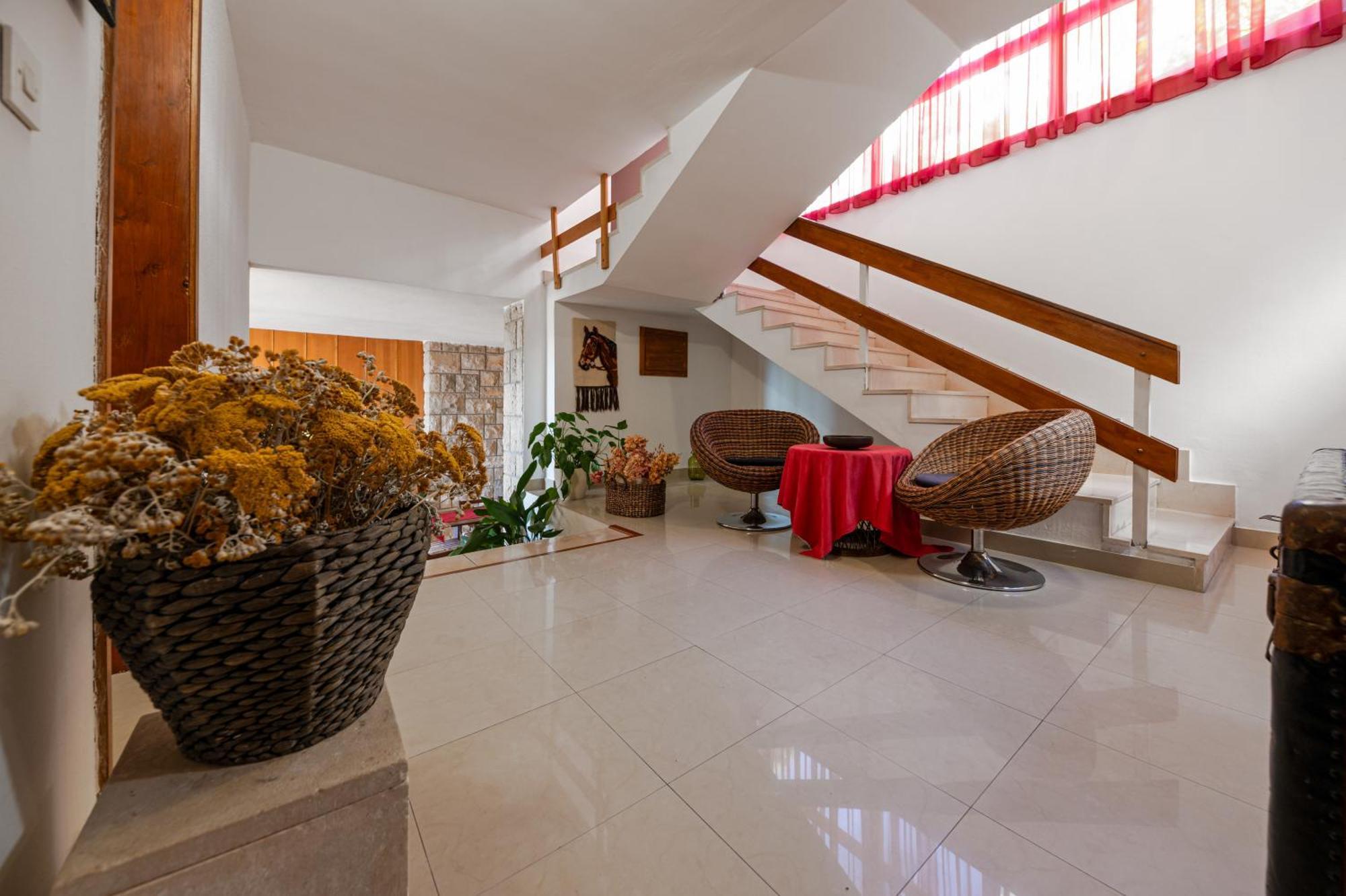 Villa Sokol 布雷拉 外观 照片